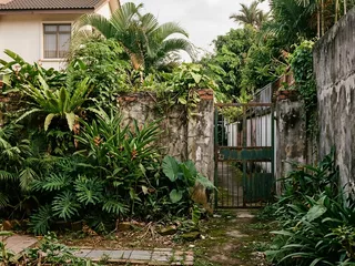 Singapore landed property rear garden and boundary fence; typical of properties where camera coverage focuses on the front and leaves the rear unprotected